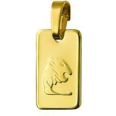 Genuine New 9ct 9k yellow gold Rectangle Zodiac Pendant - All star signs available