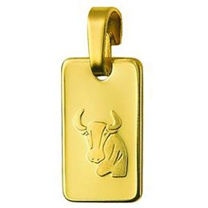 Genuine New 9ct 9k yellow gold Rectangle Zodiac Pendant - All star signs available