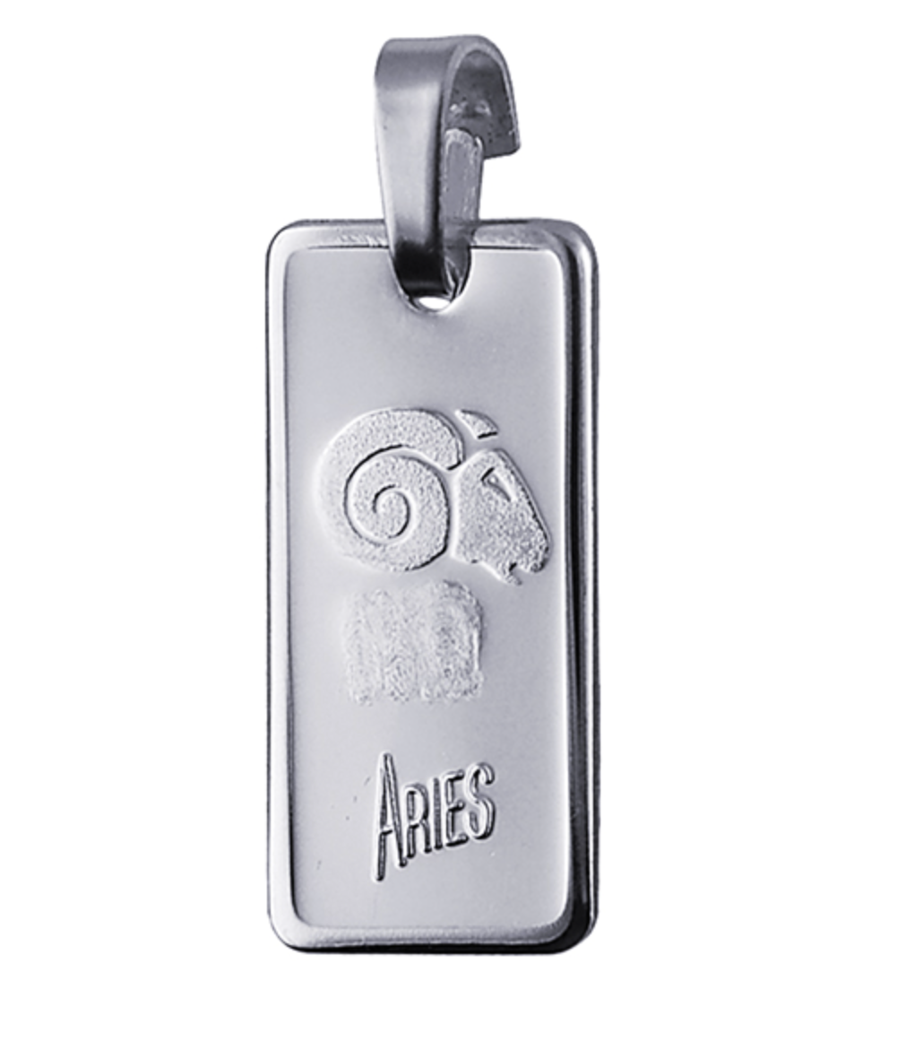 Genuine Fine Silver 2oz Rectangle Zodiac Pendant - All star signs available