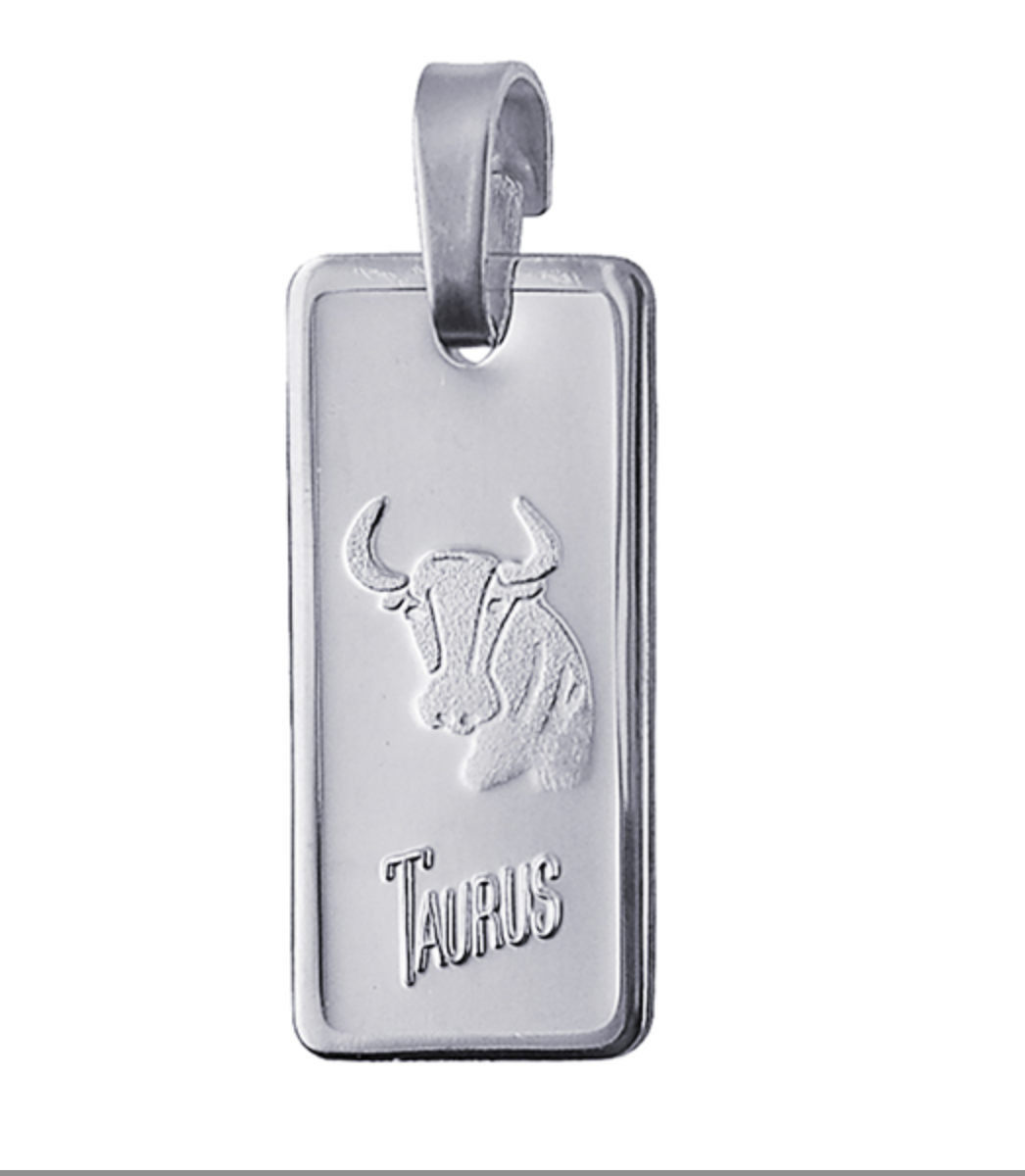 Genuine Fine Silver 2oz Rectangle Zodiac Pendant - All star signs available