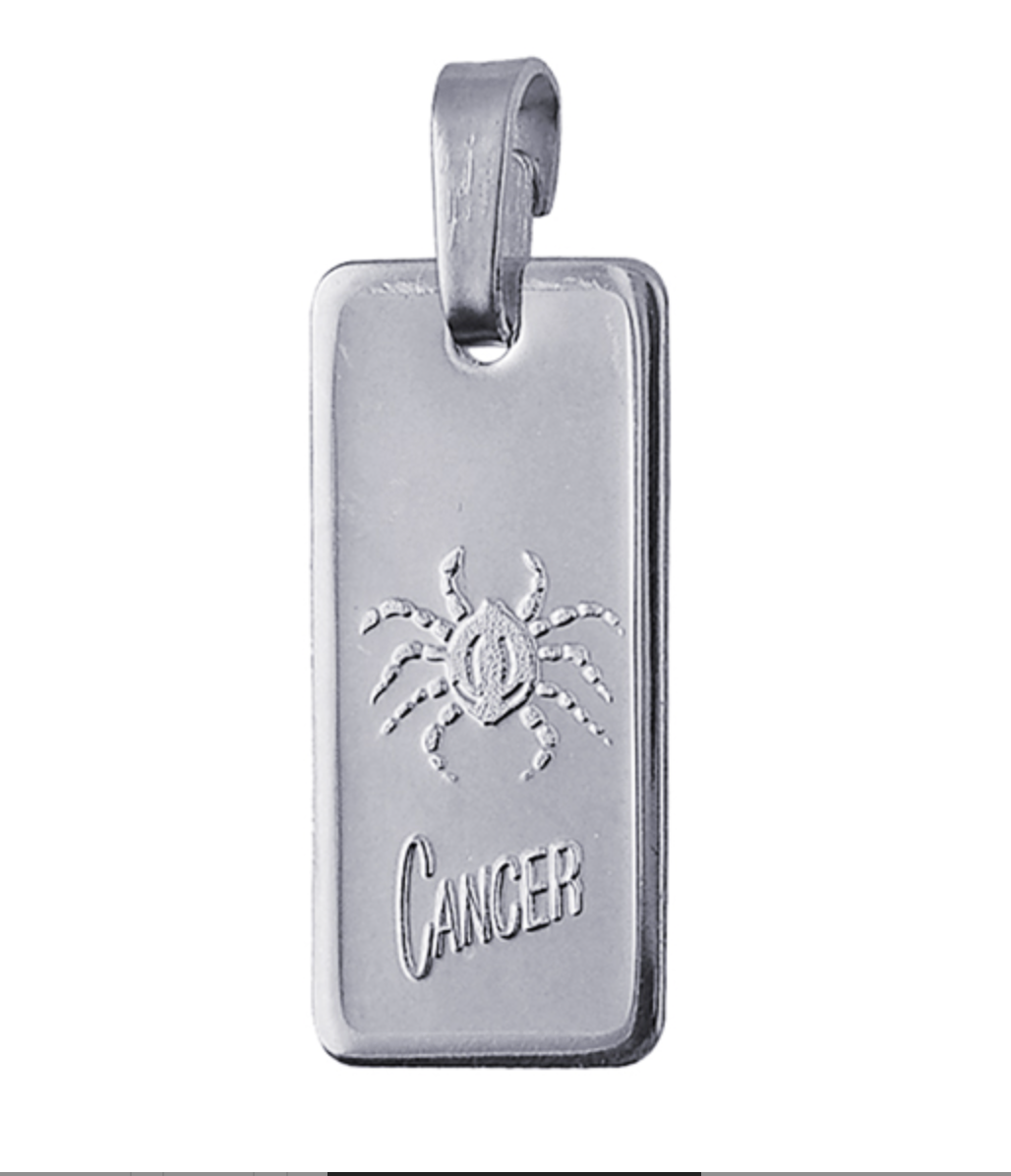 Genuine Fine Silver 2oz Rectangle Zodiac Pendant - All star signs available