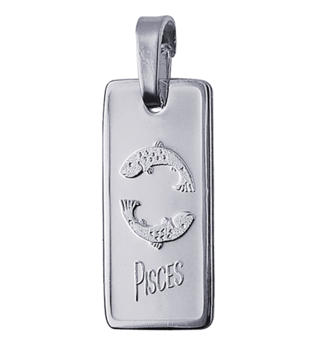 Genuine Fine Silver 2oz Rectangle Zodiac Pendant - All star signs available