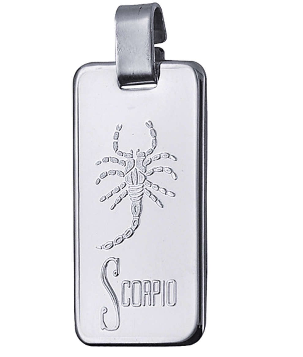 Genuine Large Fine Silver 4GZ Rectangle Zodiac Pendant - All star signs available