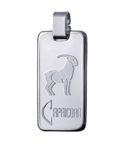 Genuine Large Fine Silver 4GZ Rectangle Zodiac Pendant - All star signs available