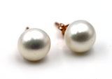 Genuine 9ct Yellow, Rose or White Gold White Button 10mm Freshwater Pearl Stud Earrings