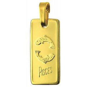 Genuine 9ct Yellow Gold or Fine Silver 20mm x 9mm Pisces Rectangle Zodiac