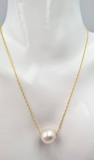 Genuine 9ct Yellow Gold Curb Necklace Chain 43cm Freshwater Pearl